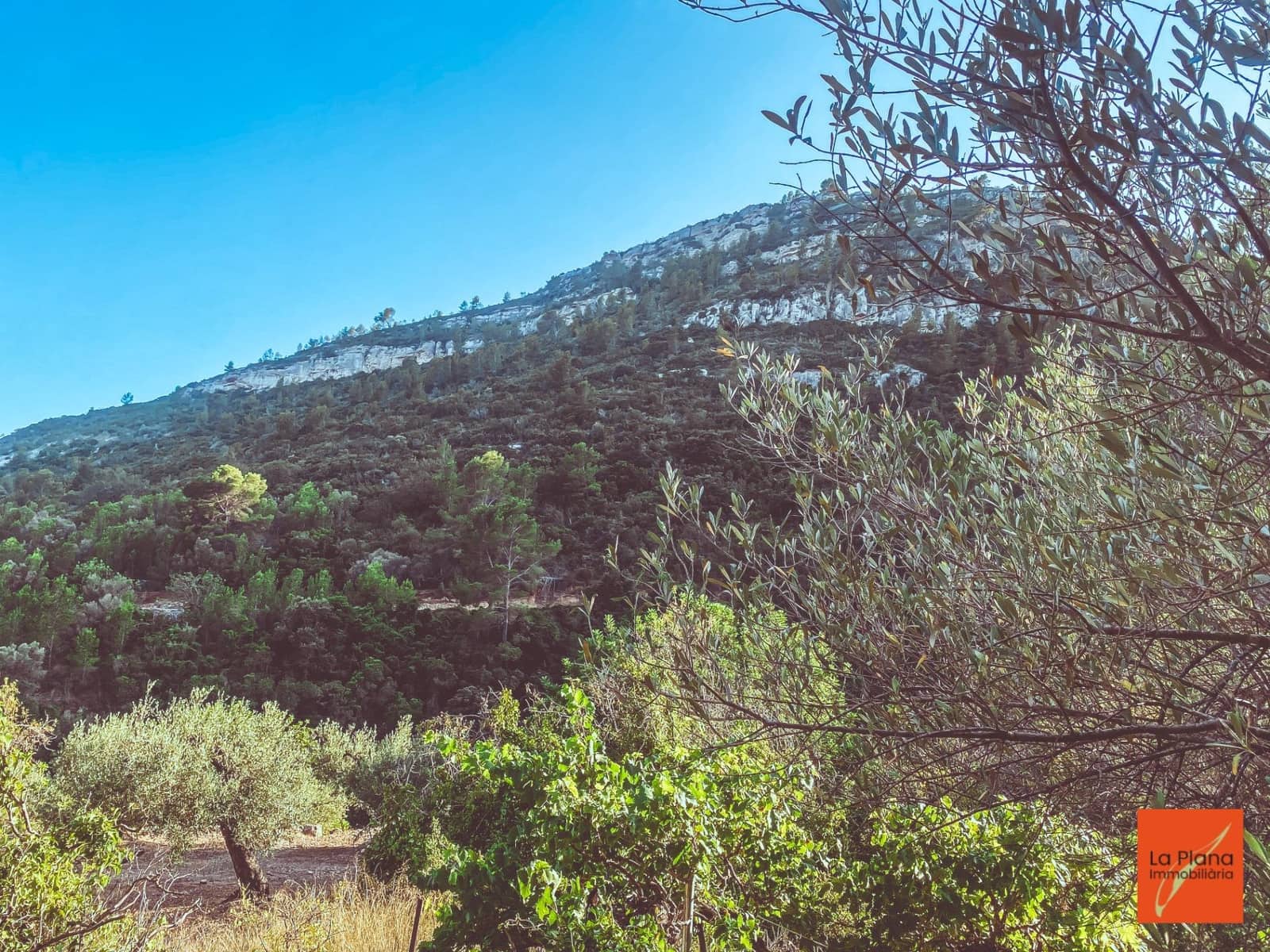 1 soveværelse Finca/Landehus til salg i Sant Carles de la Rapita - € 37.000 (Ref: 8474117)