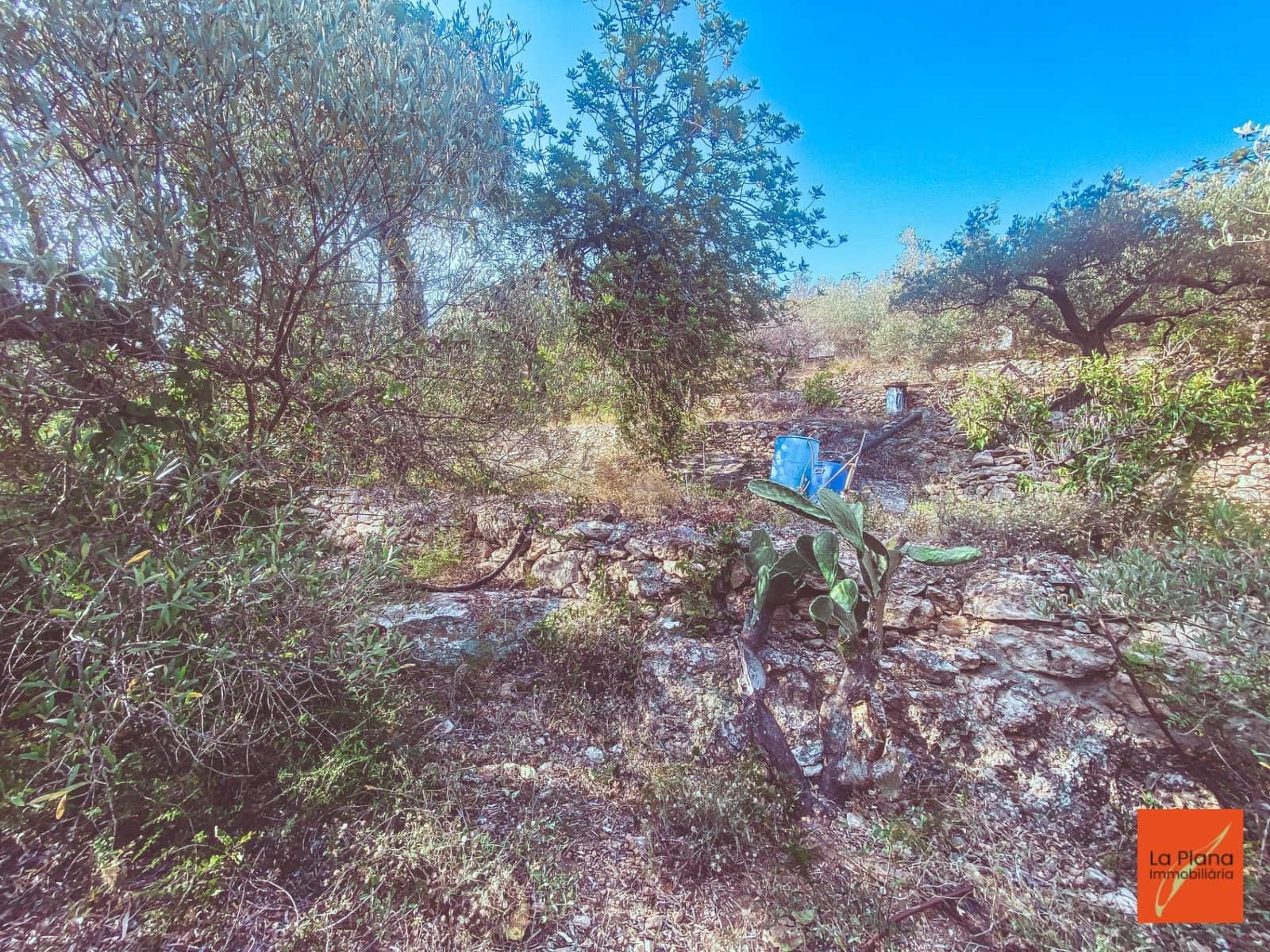 1 soveværelse Finca/Landehus til salg i Sant Carles de la Rapita - € 37.000 (Ref: 8474117)