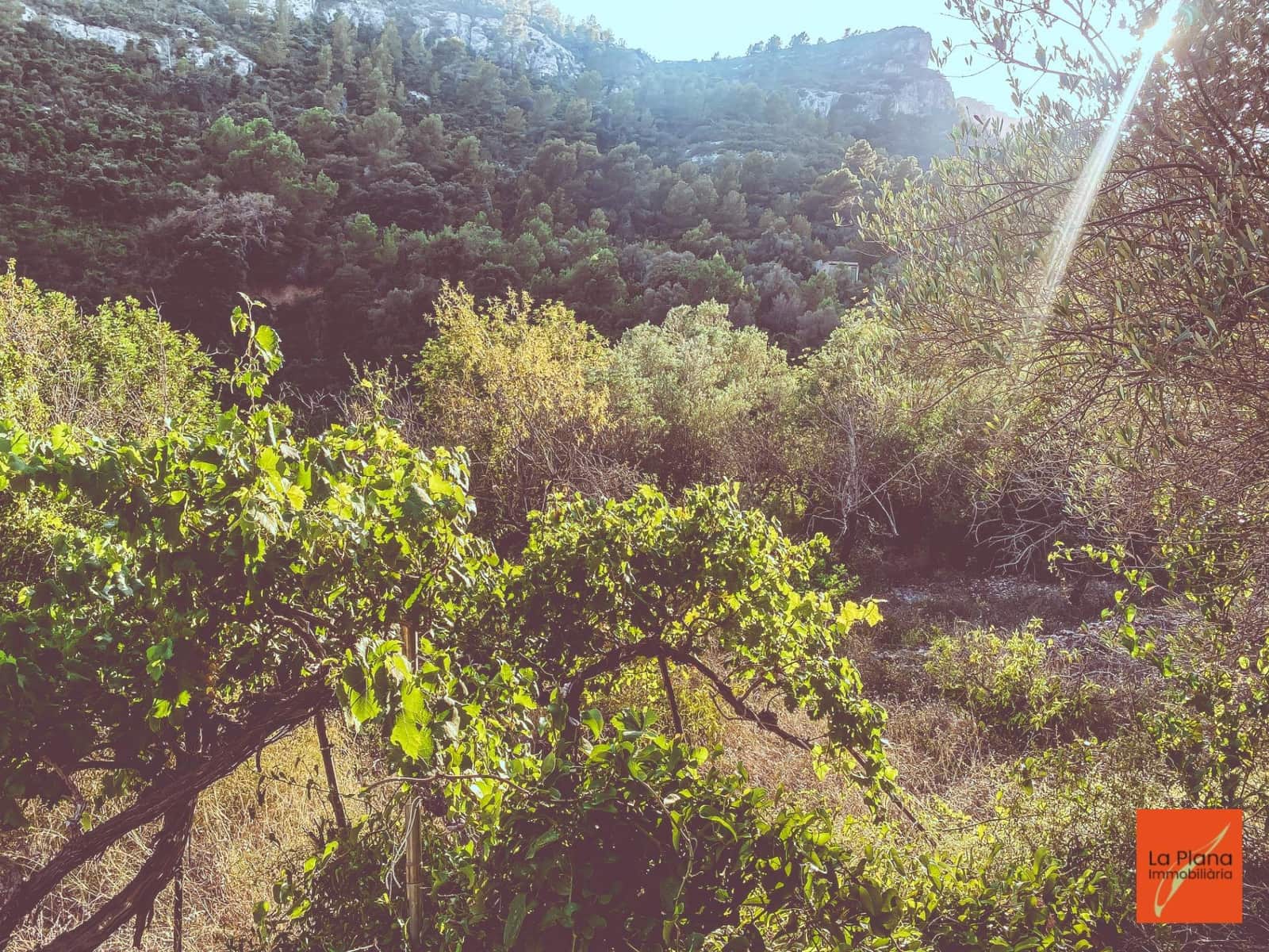 1 soveværelse Finca/Landehus til salg i Sant Carles de la Rapita - € 37.000 (Ref: 8474117)