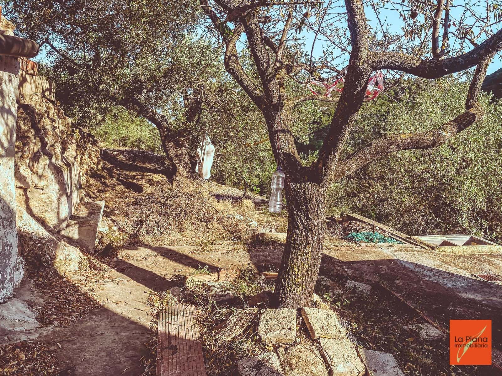 1 soveværelse Finca/Landehus til salg i Sant Carles de la Rapita - € 37.000 (Ref: 8474117)