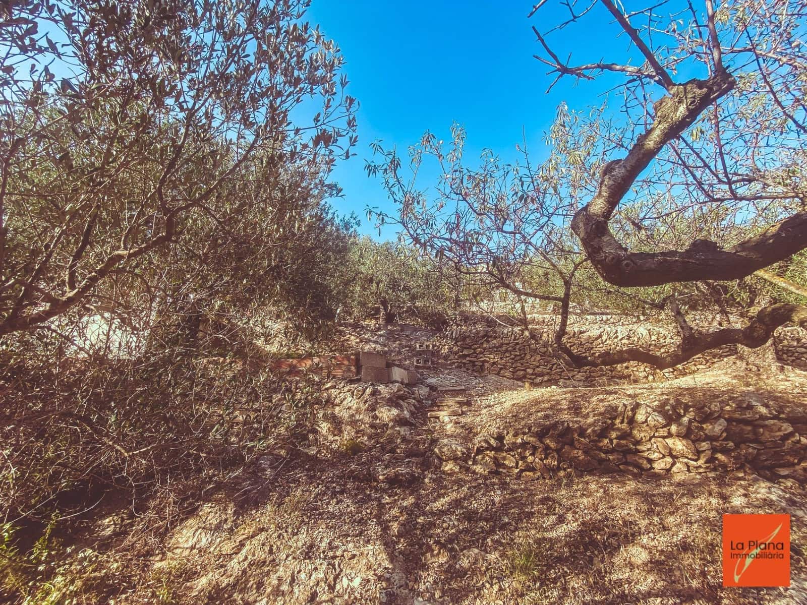 1 soveværelse Finca/Landehus til salg i Sant Carles de la Rapita - € 37.000 (Ref: 8474117)