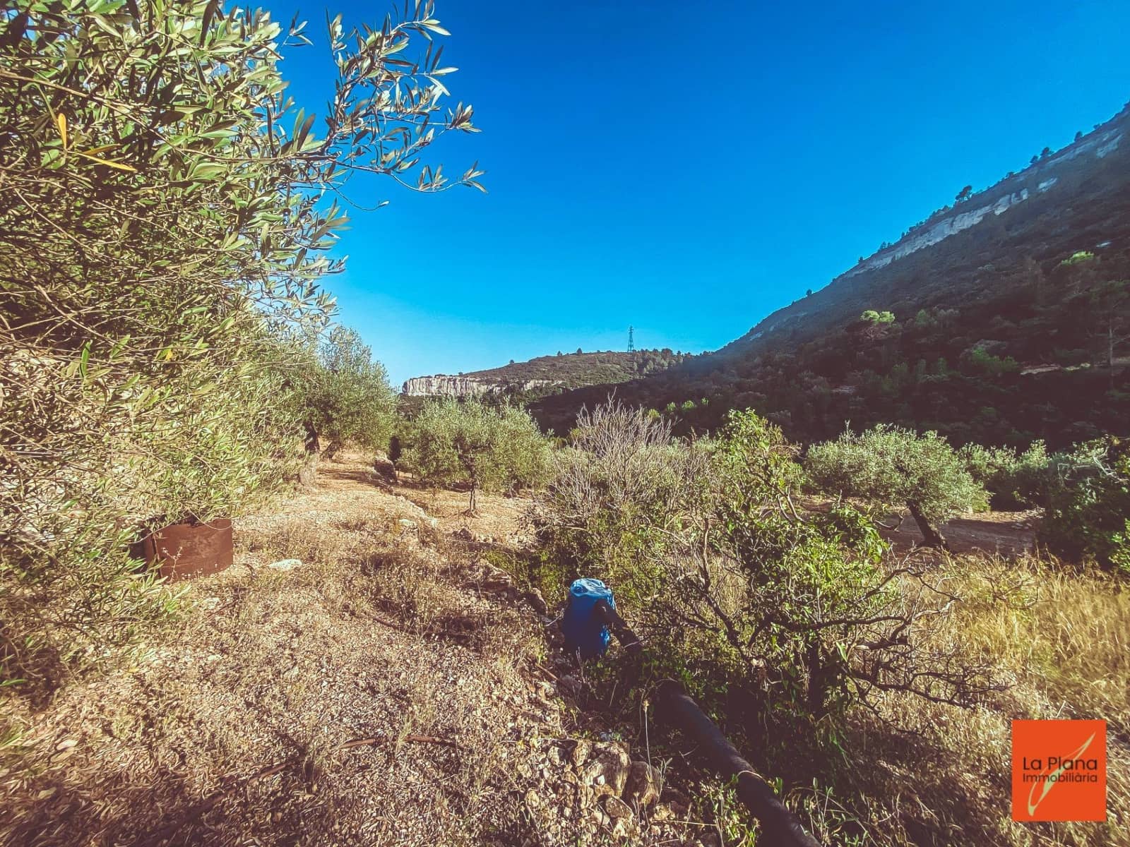 1 soveværelse Finca/Landehus til salg i Sant Carles de la Rapita - € 37.000 (Ref: 8474117)