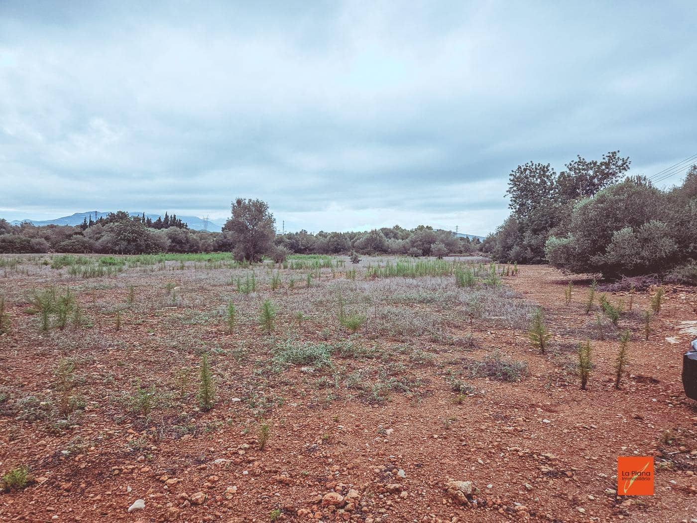 Grunde uden byggetilladelser til salg i Santa Barbara - € 33.000 (Ref: 8565291)