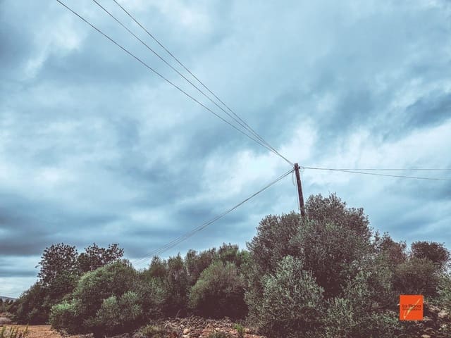 Undeveloped Land for sale in Santa Bàrbara - € 33,000 (Ref: 8565291)