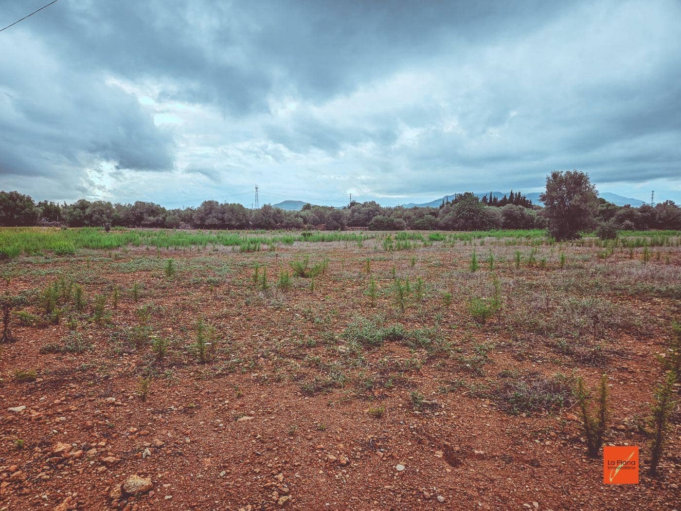 Grunde uden byggetilladelser til salg i Santa Barbara - € 33.000 (Ref: 8565291)