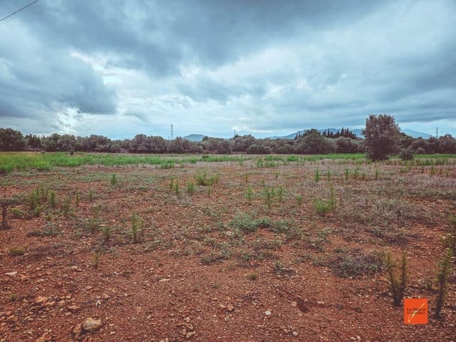 Undeveloped Land for sale in Santa Bàrbara - € 33,000 (Ref: 8565291)