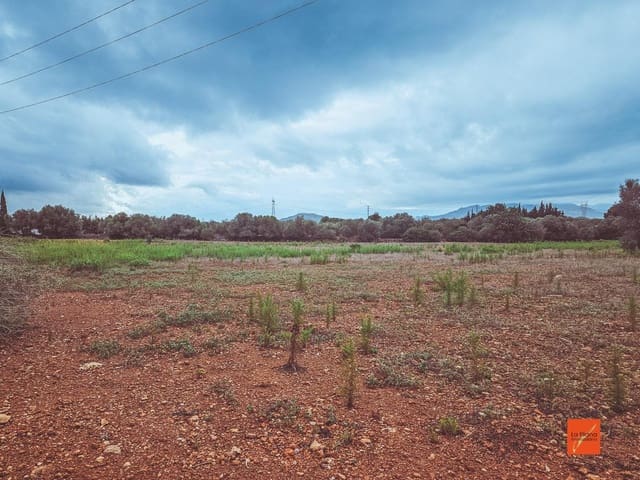 Undeveloped Land for sale in Santa Bàrbara - € 33,000 (Ref: 8565291)