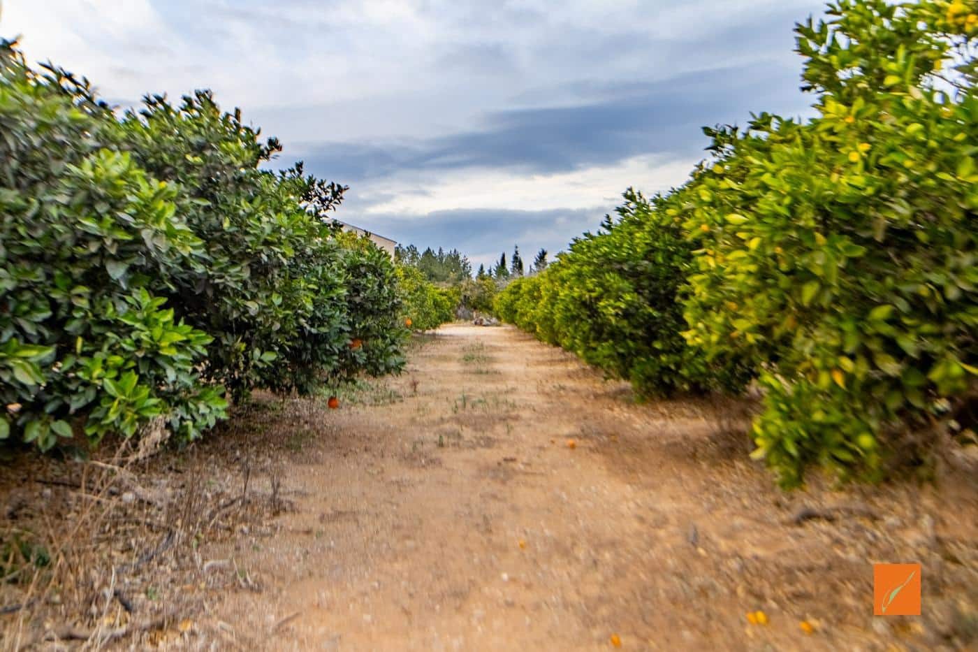 7 soveværelse Finca/Landehus til salg i Masdenverge med garage - € 785.000 (Ref: 8610465)