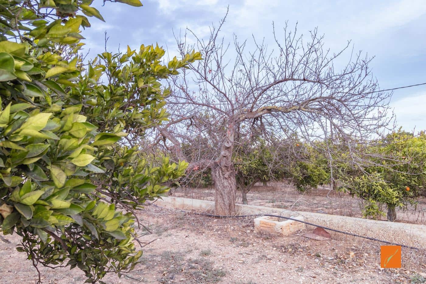 7 soveværelse Finca/Landehus til salg i Masdenverge med garage - € 785.000 (Ref: 8610465)