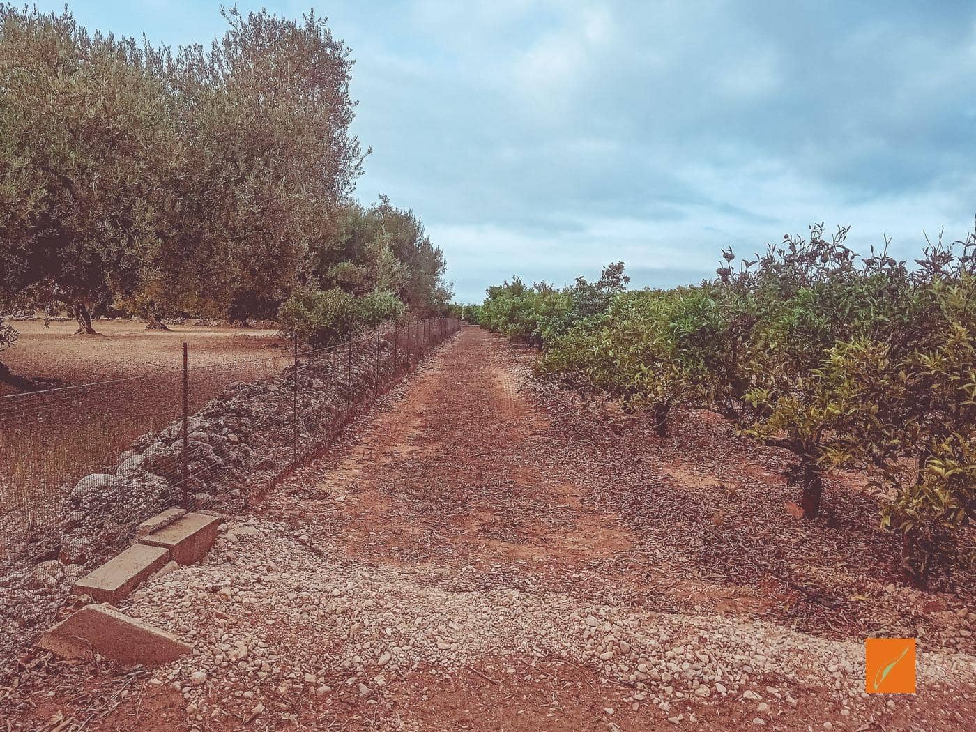 Undeveloped Land for sale in La Galera - € 27,000 (Ref: 8662980)