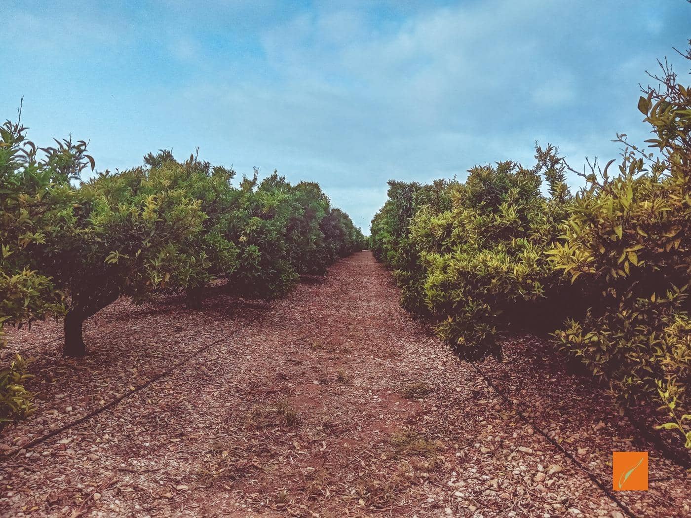 Undeveloped Land for sale in La Galera - € 27,000 (Ref: 8662980)