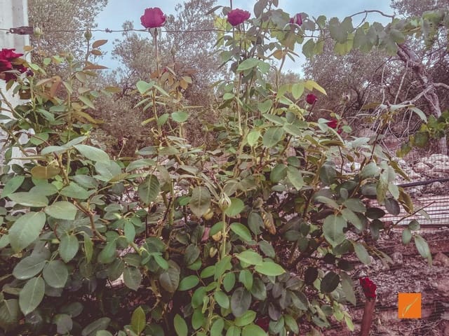 Grond te koop in La Galera - € 27.000 (Ref: 8662980)