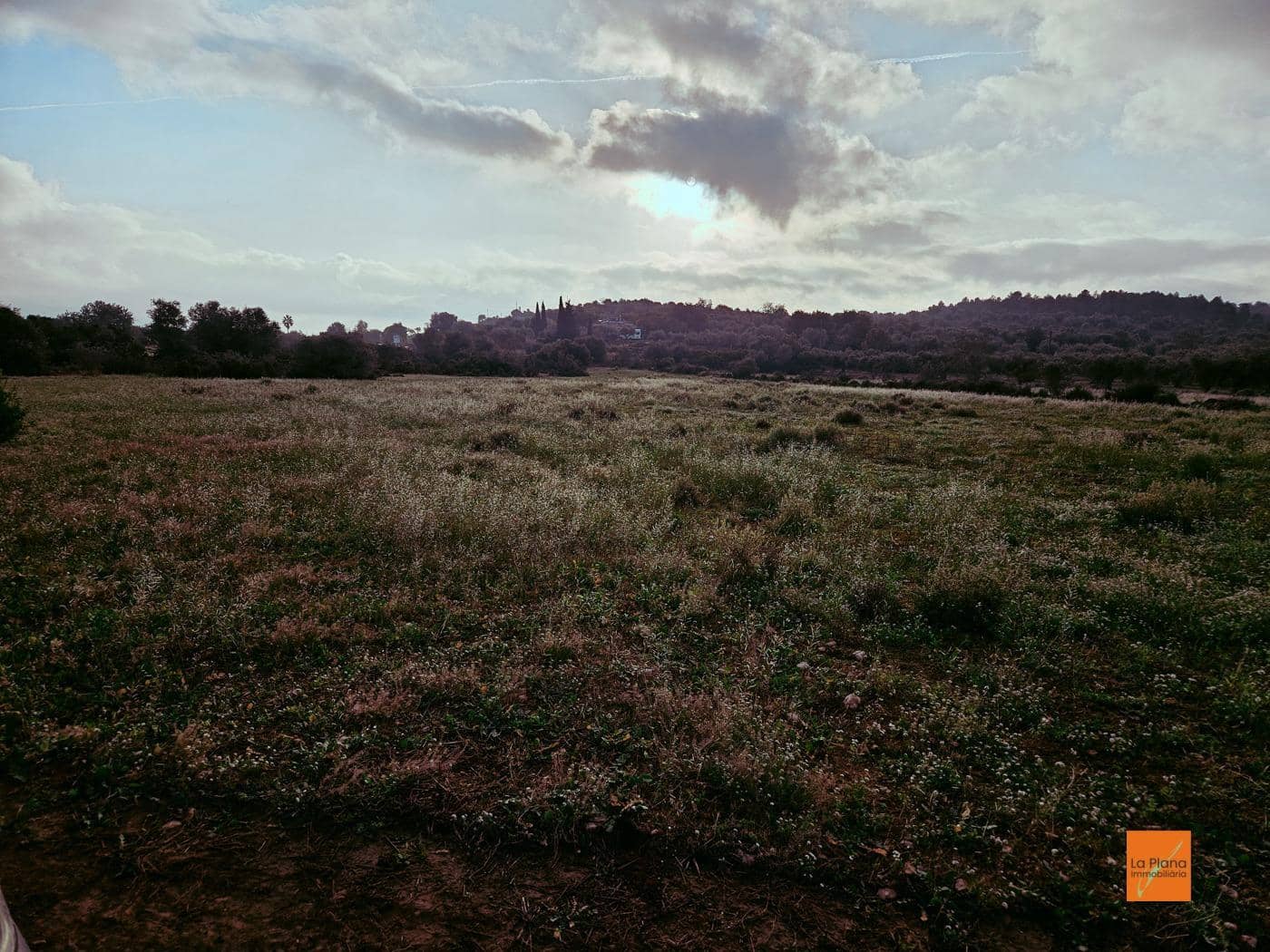 Grunde uden byggetilladelser til salg i Ulldecona - € 49.000 (Ref: 8698268)