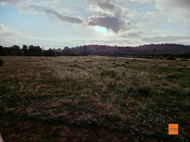 Undeveloped Land for sale in Ulldecona - € 49,000 (Ref: 8698268)