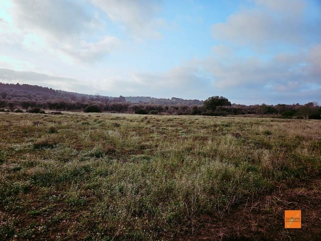 Undeveloped Land for sale in Ulldecona - € 49,000 (Ref: 8698268)
