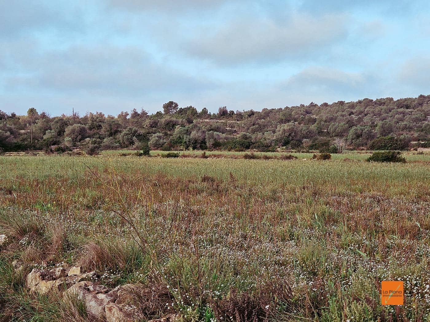 Grunde uden byggetilladelser til salg i Ulldecona - € 49.000 (Ref: 8698268)