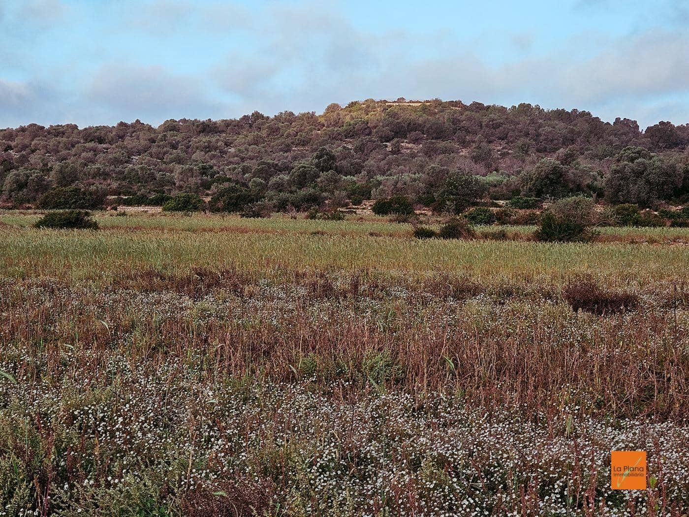 Grunde uden byggetilladelser til salg i Ulldecona - € 49.000 (Ref: 8698268)