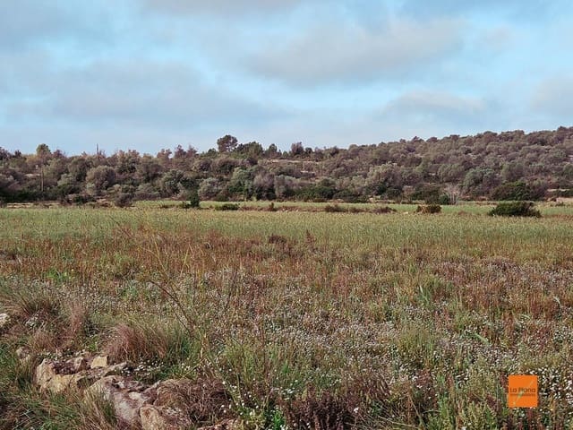 Undeveloped Land for sale in Ulldecona - € 49,000 (Ref: 8698268)