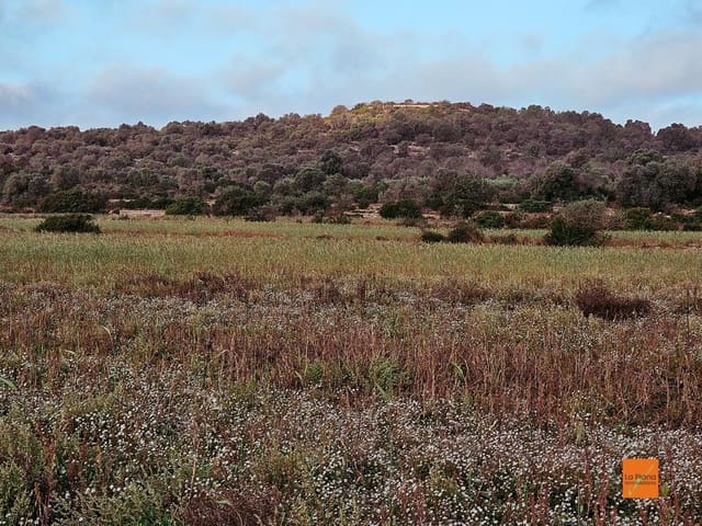 Undeveloped Land for sale in Ulldecona - € 49,000 (Ref: 8698268)