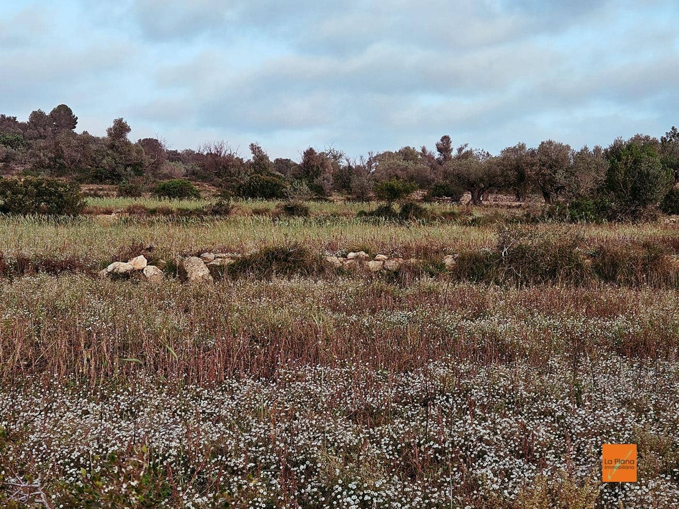 Grunde uden byggetilladelser til salg i Ulldecona - € 49.000 (Ref: 8698268)