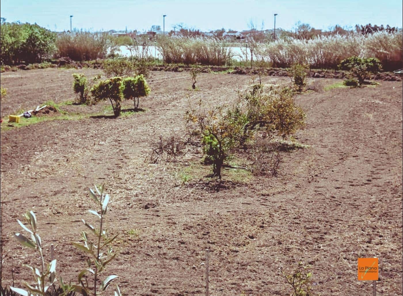 Byggetomt til salgs i Deltebre - € 900 000 (Ref: 8729892)