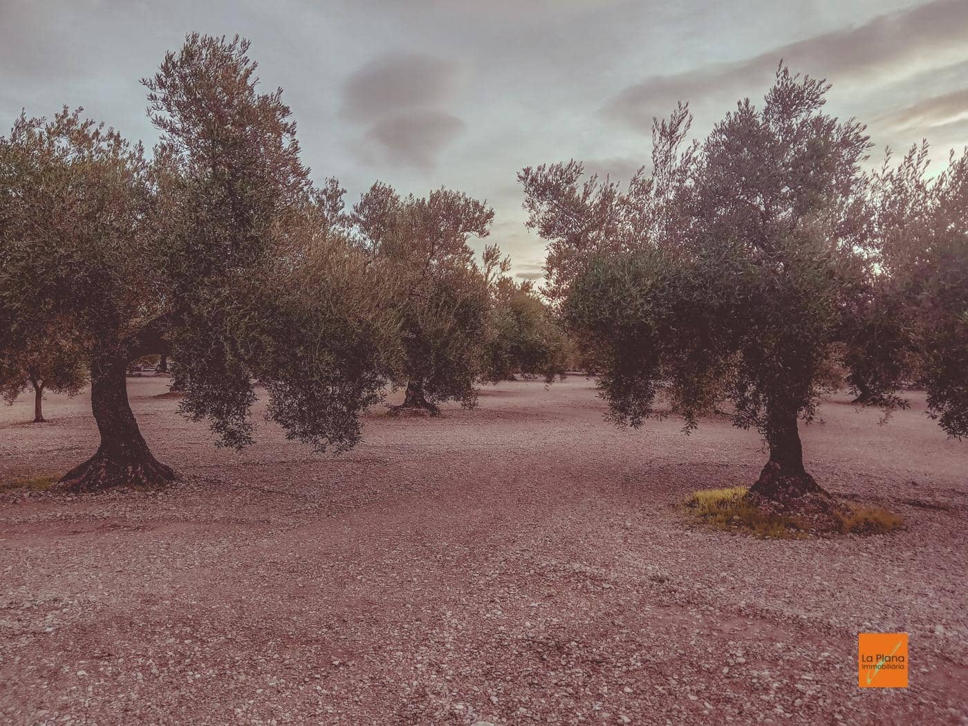 Finca/Casa di Campagna in vendita in Santa Barbara - 32.000 € (Rif: 8766979)