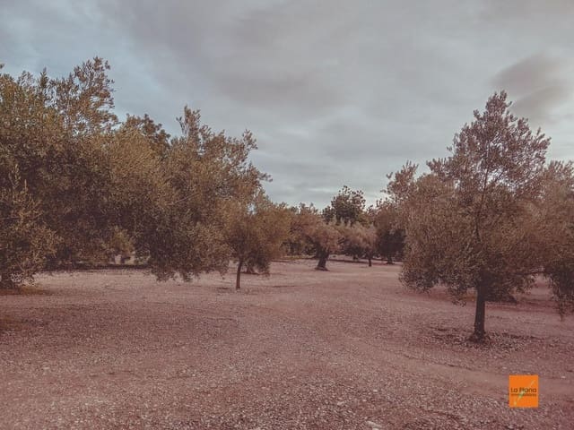 Finca/Country House for sale in Santa Bàrbara - € 32,000 (Ref: 8766979)