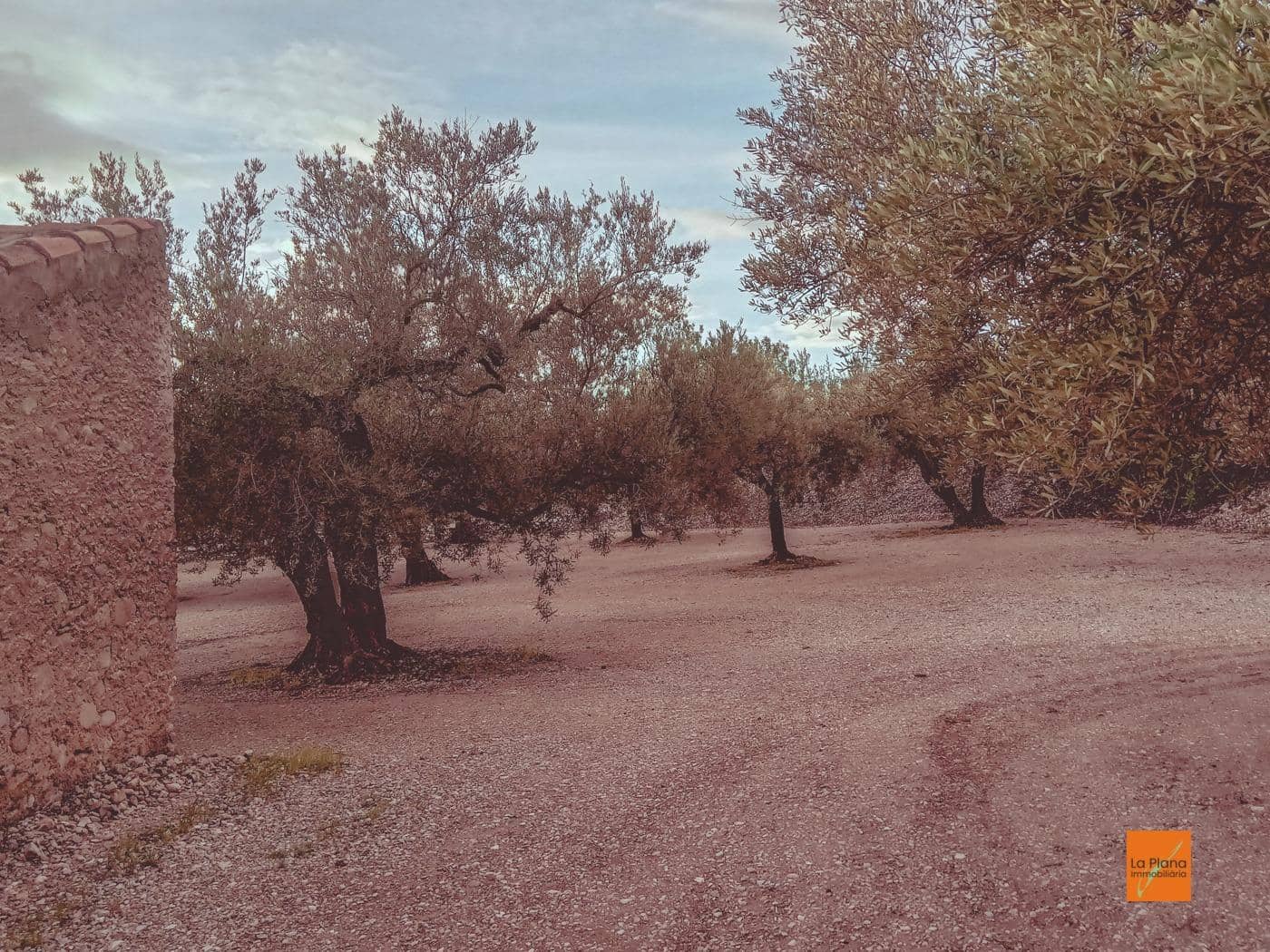 Finca/Casa di Campagna in vendita in Santa Barbara - 32.000 € (Rif: 8766979)