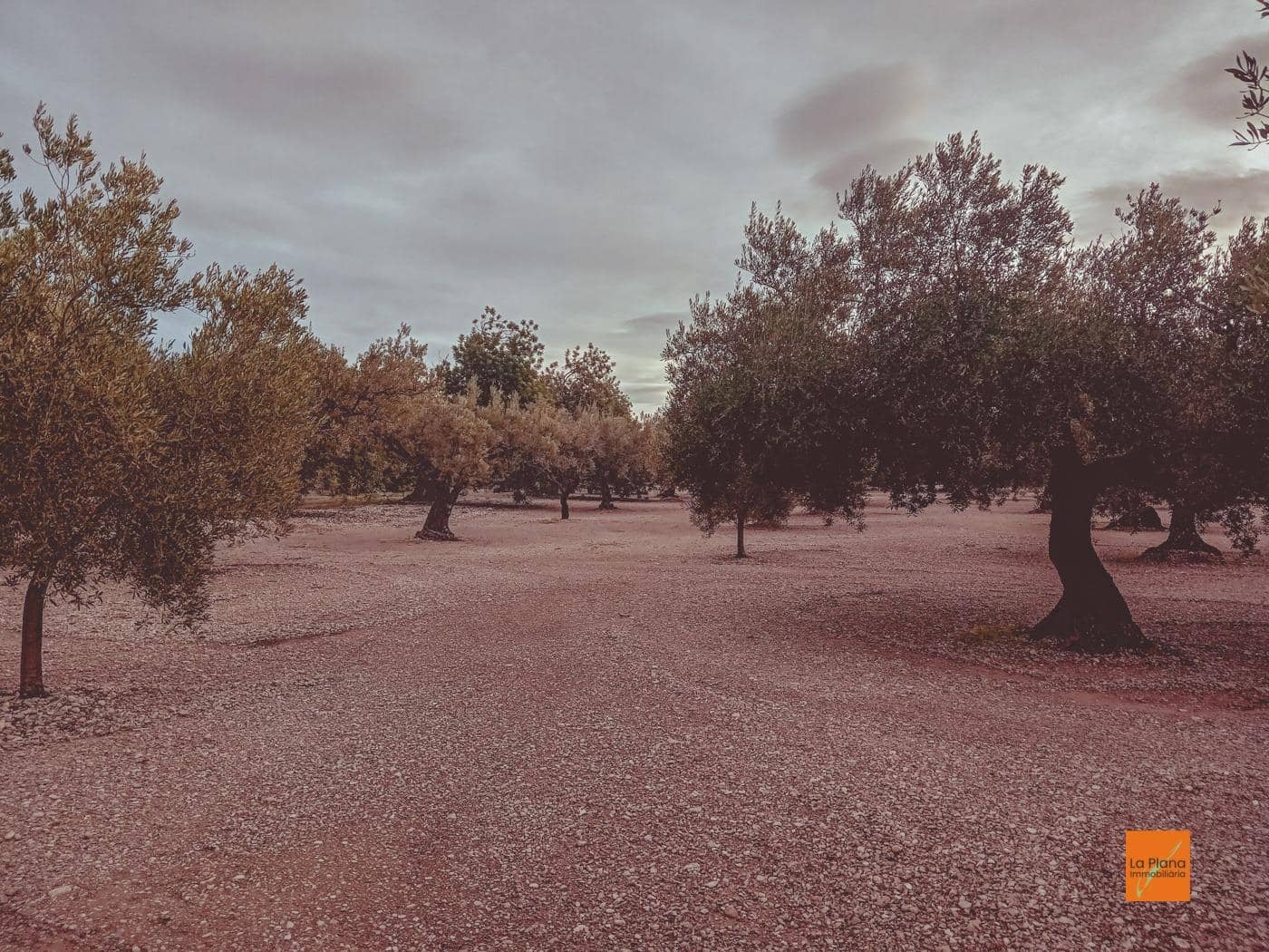 Finca/Casa di Campagna in vendita in Santa Barbara - 32.000 € (Rif: 8766979)