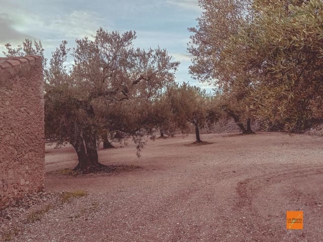 Finca/Country House for sale in Santa Bàrbara - € 32,000 (Ref: 8766979)