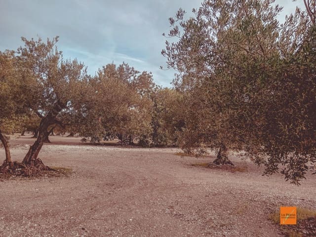 Finca/Country House for sale in Santa Bàrbara - € 32,000 (Ref: 8766979)