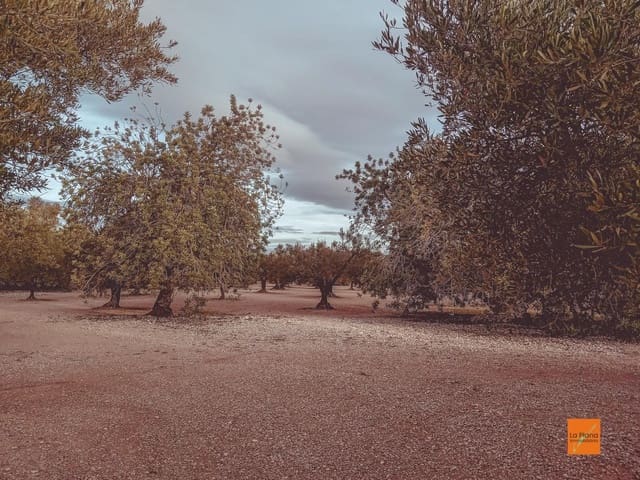 Finca/Country House for sale in Santa Bàrbara - € 32,000 (Ref: 8766979)