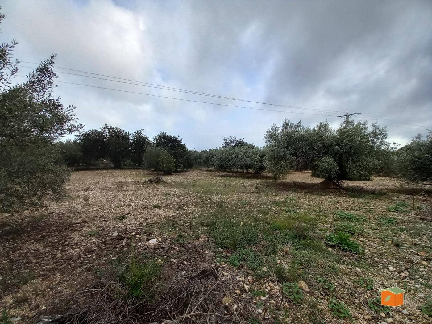 Grunde uden byggetilladelser til salg i Alcanar - € 17.000 (Ref: 8886015)