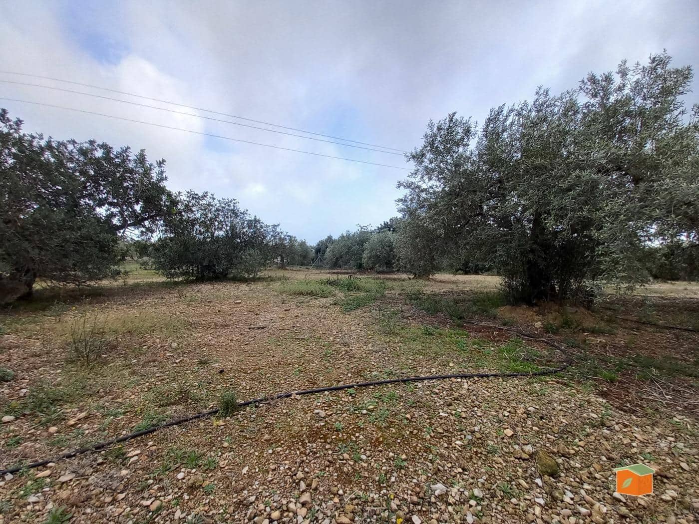 Grunde uden byggetilladelser til salg i Alcanar - € 17.000 (Ref: 8886015)