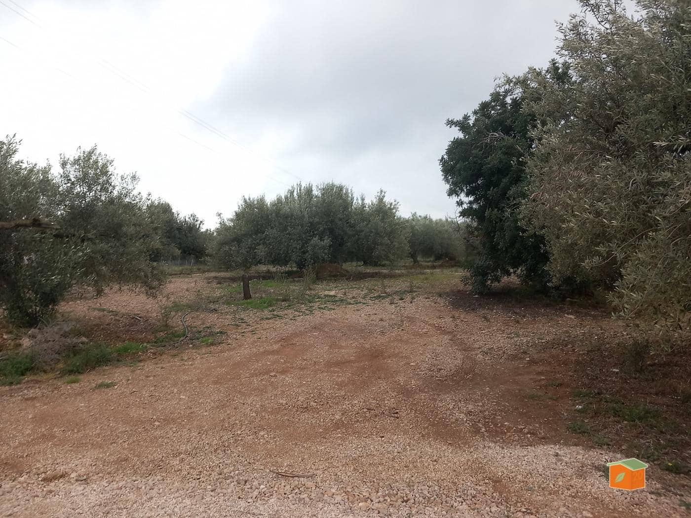 Grunde uden byggetilladelser til salg i Alcanar - € 17.000 (Ref: 8886015)