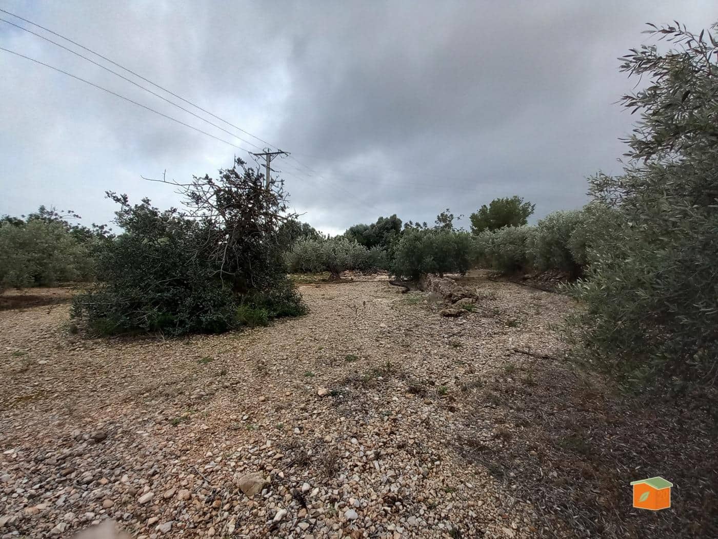 Grunde uden byggetilladelser til salg i Alcanar - € 17.000 (Ref: 8886015)