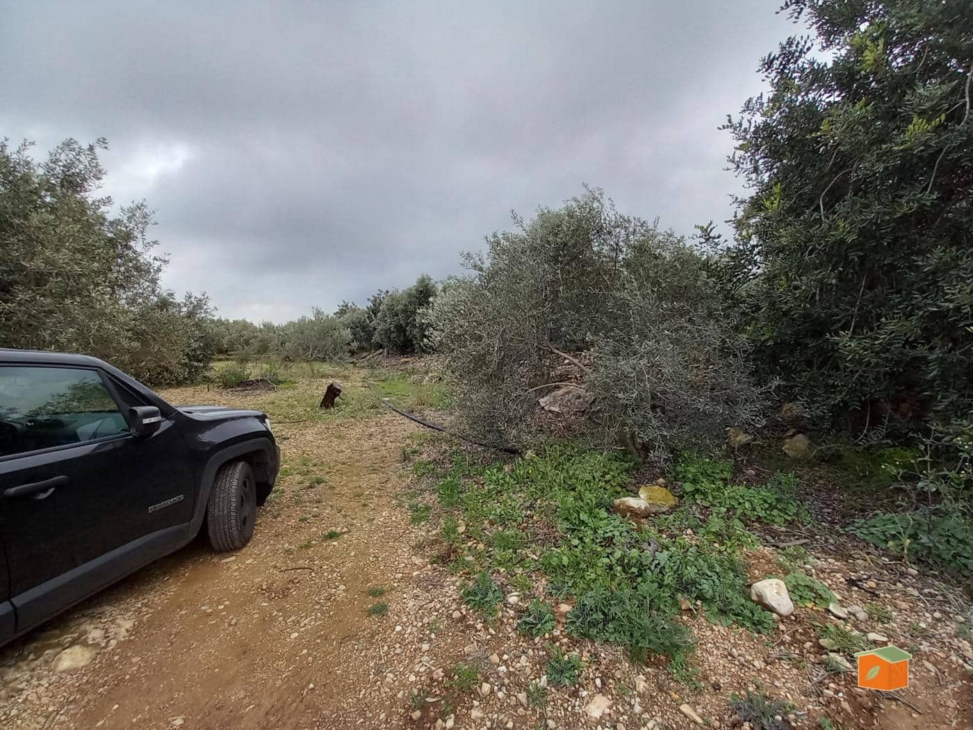 Grunde uden byggetilladelser til salg i Alcanar - € 17.000 (Ref: 8886015)