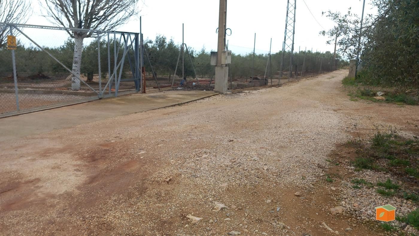 Grunde uden byggetilladelser til salg i Alcanar - € 17.000 (Ref: 8886015)