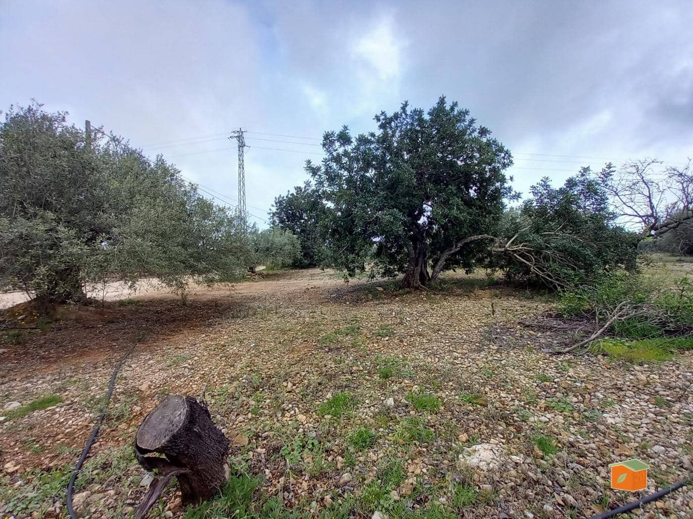 Grunde uden byggetilladelser til salg i Alcanar - € 17.000 (Ref: 8886015)