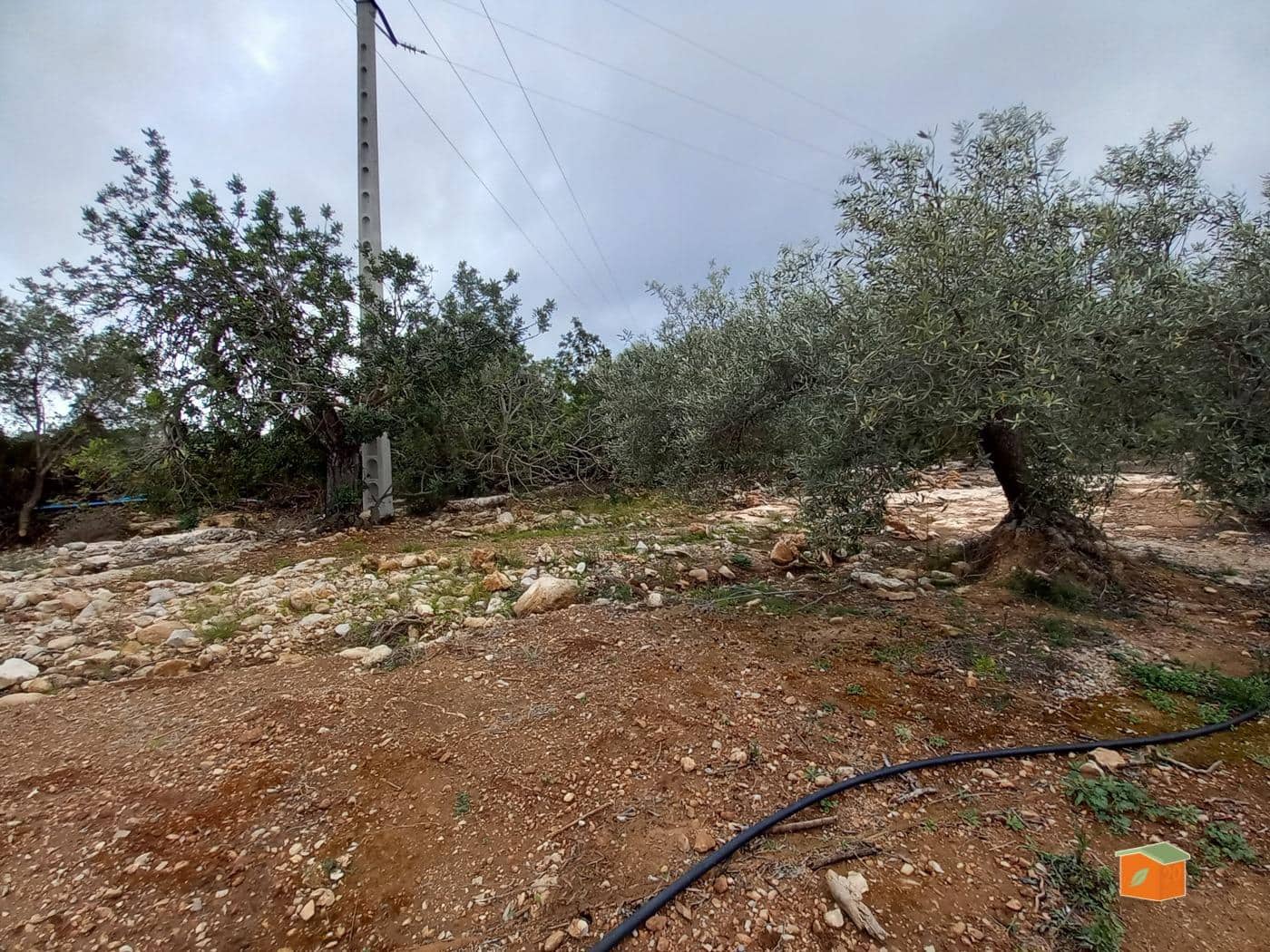 Grunde uden byggetilladelser til salg i Alcanar - € 17.000 (Ref: 8886015)