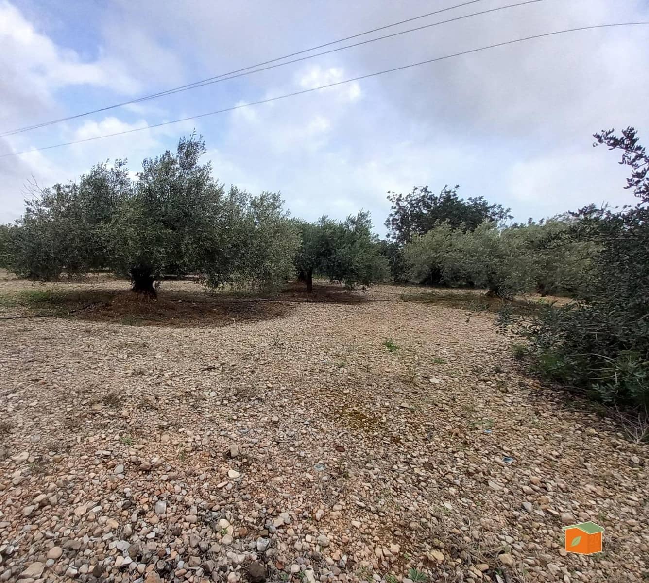 Grunde uden byggetilladelser til salg i Alcanar - € 17.000 (Ref: 8886015)