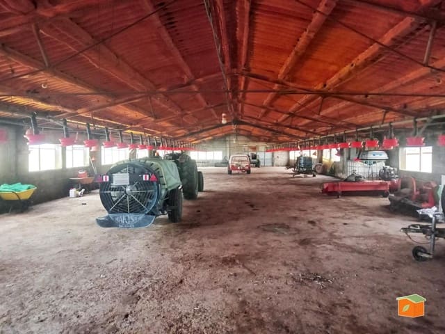 1 bedroom Business for sale in Santa Bàrbara with pool - € 218,000 (Ref: 8913213)