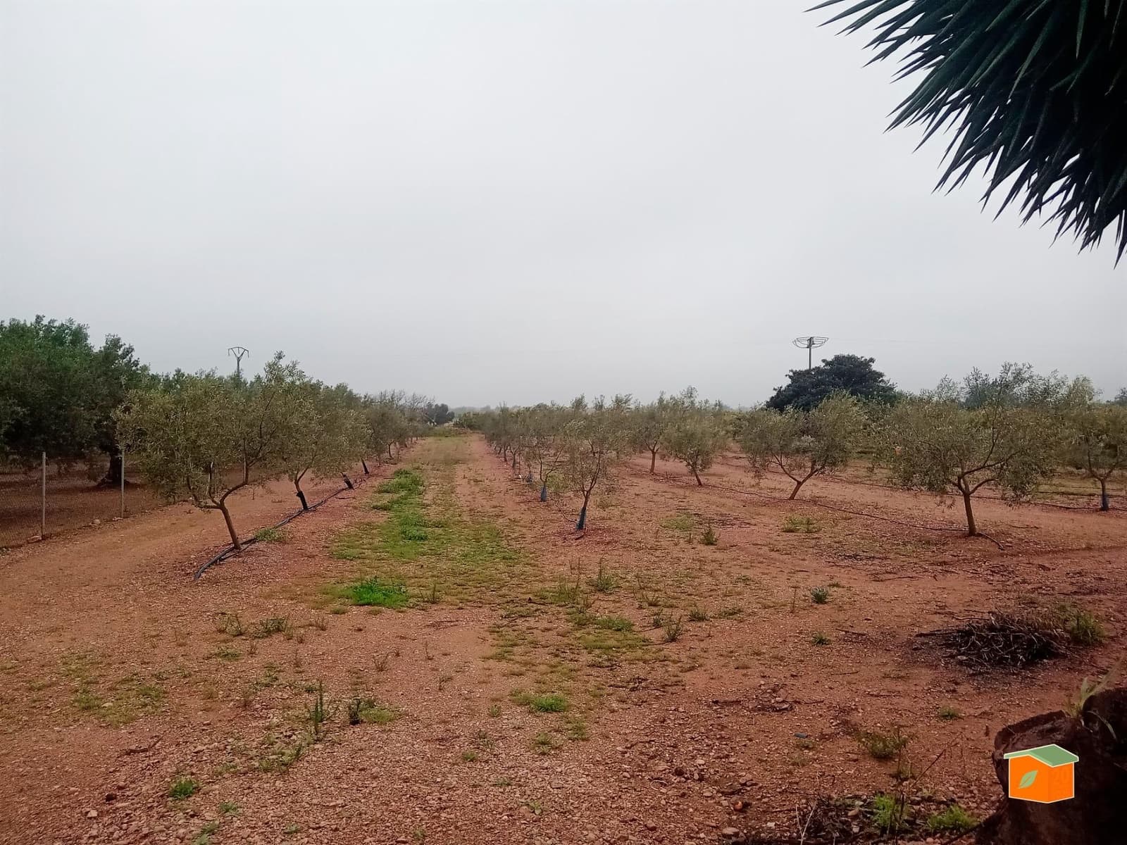 1 soveværelse Virksomhed til salg i Santa Barbara med swimmingpool - € 218.000 (Ref: 8913213)