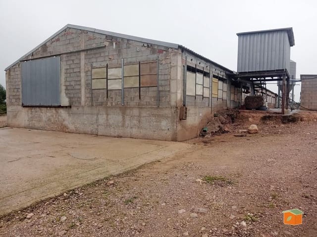 1 bedroom Business for sale in Santa Bàrbara with pool - € 218,000 (Ref: 8913213)