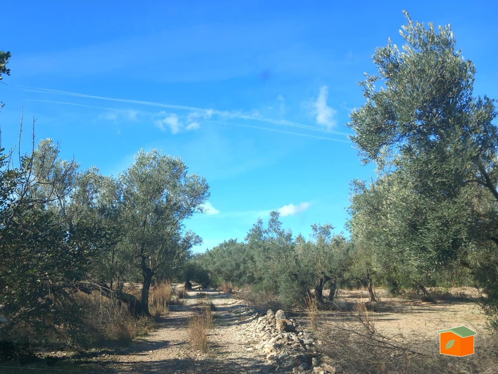 Grunde uden byggetilladelser til salg i Mas de Barberans - € 130.000 (Ref: 8915482)