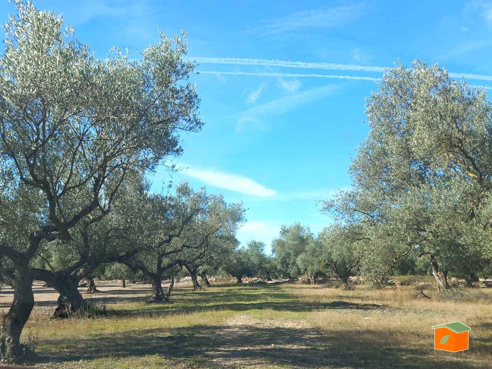 Grunde uden byggetilladelser til salg i Mas de Barberans - € 130.000 (Ref: 8915482)