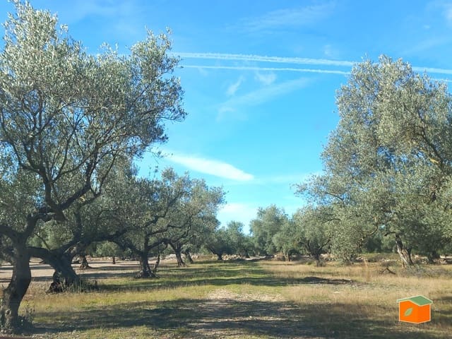 Grunde uden byggetilladelser til salg i Mas de Barberans - € 130.000 (Ref: 8915482)