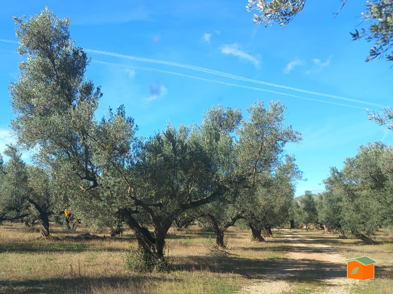 Grunde uden byggetilladelser til salg i Mas de Barberans - € 130.000 (Ref: 8915482)