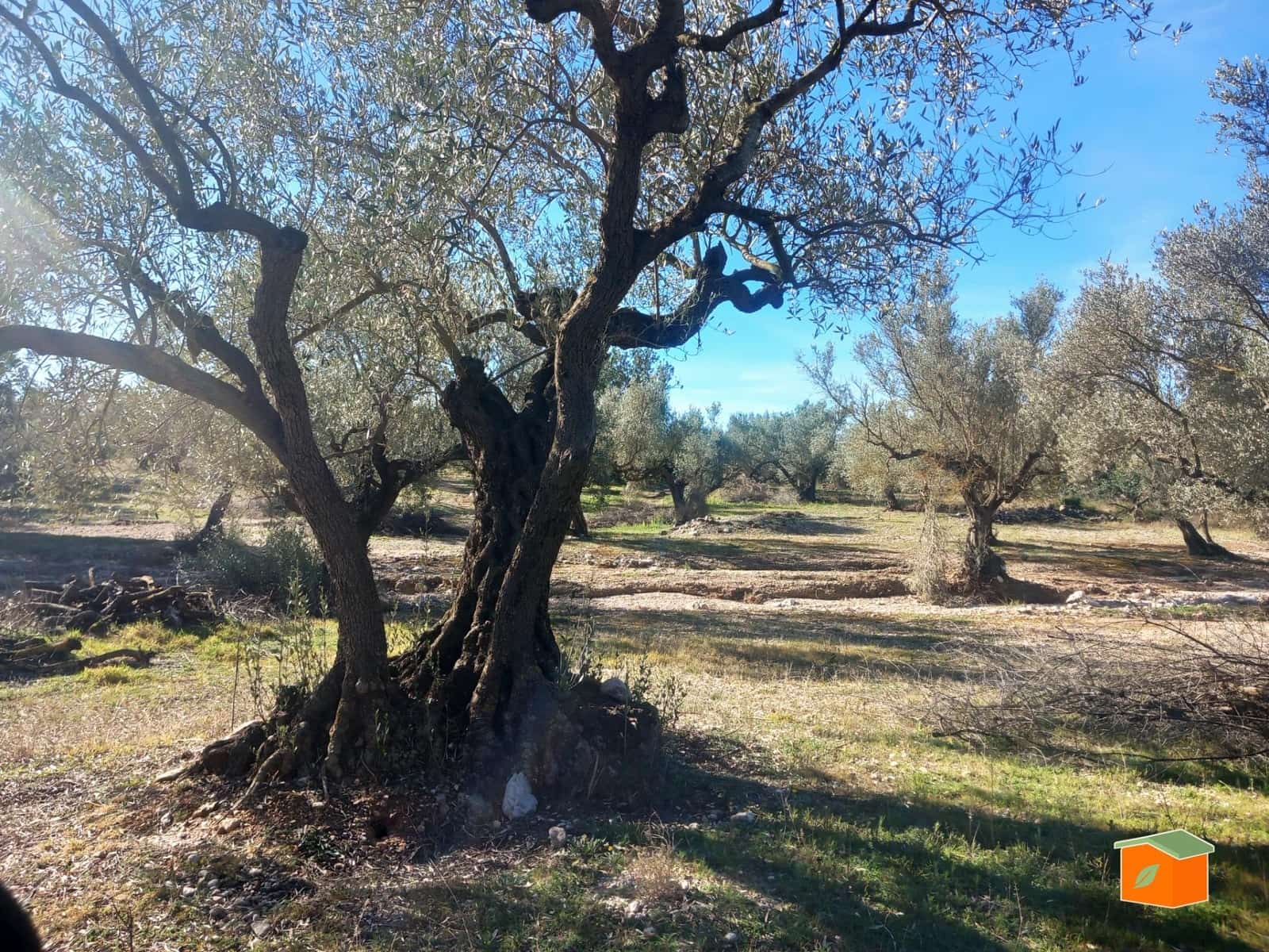 Grunde uden byggetilladelser til salg i Mas de Barberans - € 130.000 (Ref: 8915482)