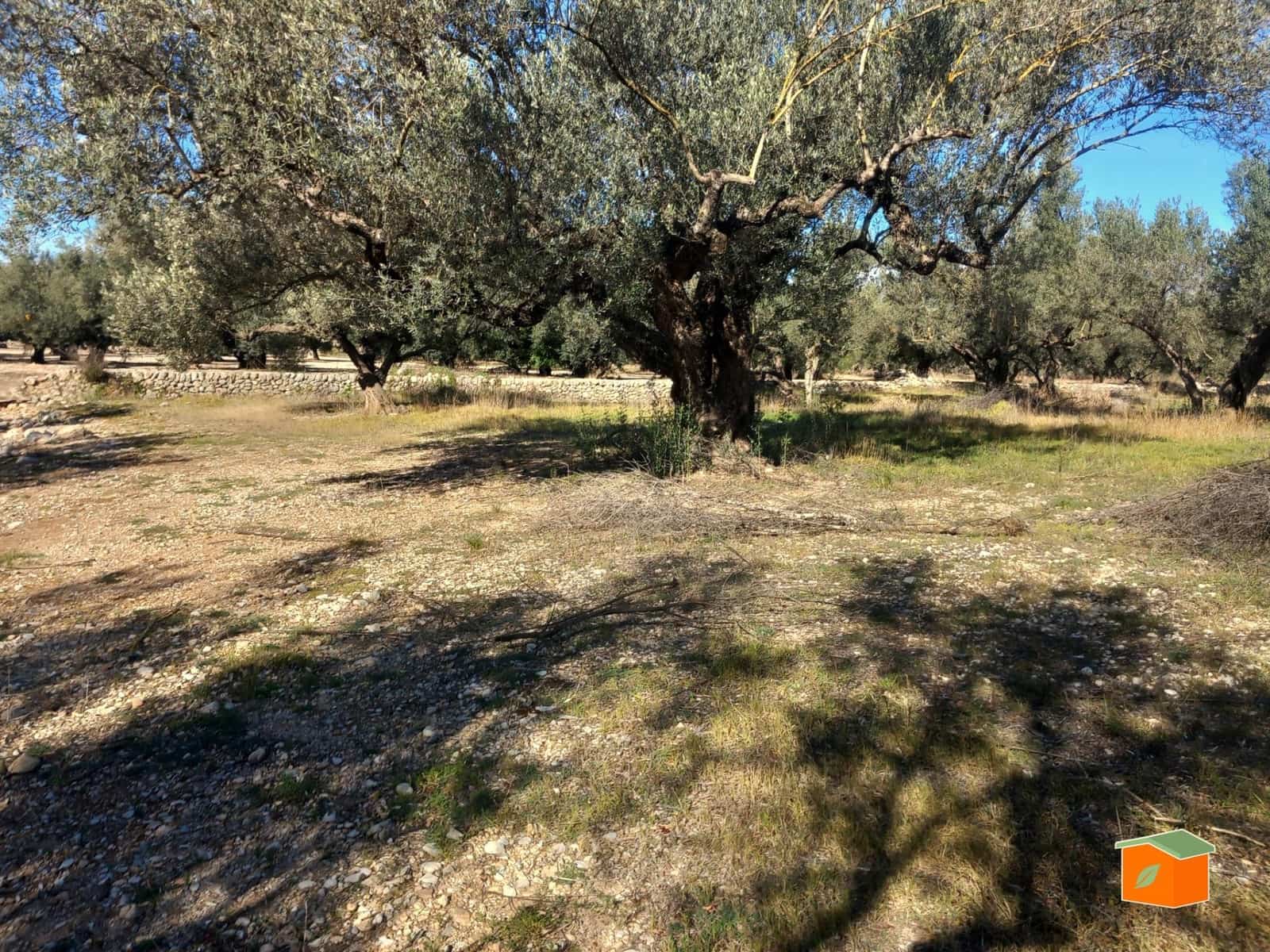 Grunde uden byggetilladelser til salg i Mas de Barberans - € 130.000 (Ref: 8915482)